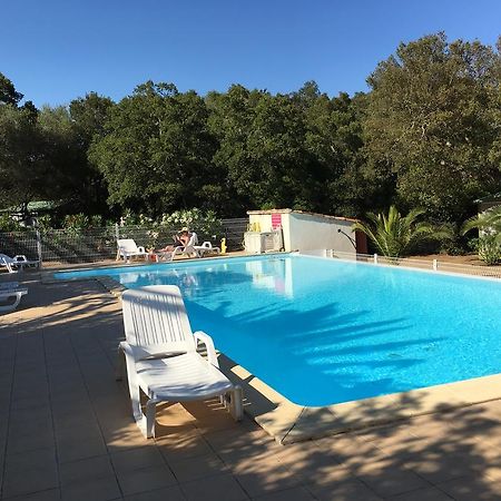 Camping Pezza Cardo Porto-Vecchio Kültér fotó