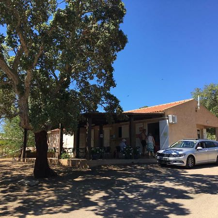 Camping Pezza Cardo Porto-Vecchio Kültér fotó