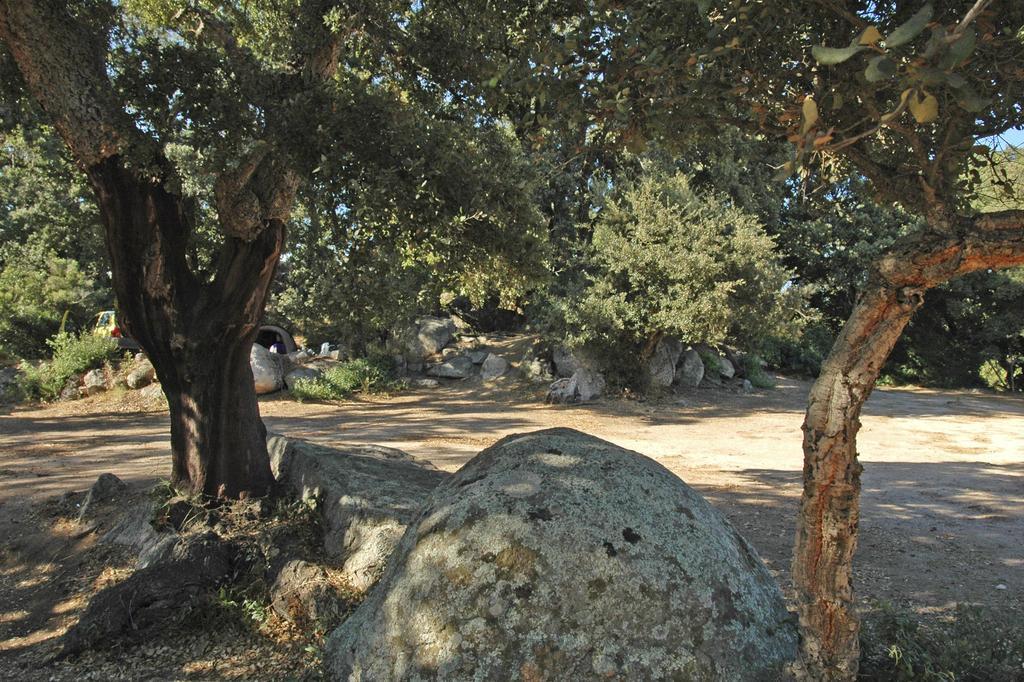 Camping Pezza Cardo Porto-Vecchio Kültér fotó